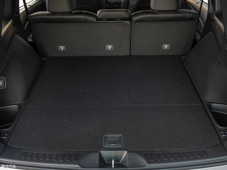 2019��Passport ������