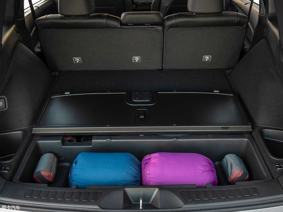 2019��Passport ������