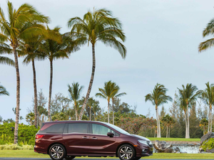 2020��Special Package For 25th Anniversary ���w���^