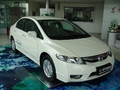 2009��˼���������