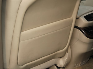 20113.7L (bio)(zhn)\(yn)(dng) g