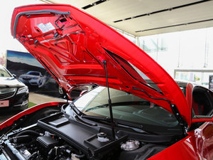 2017款3.5T 基本型 其它