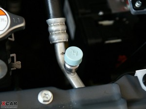 2009����S���� ����