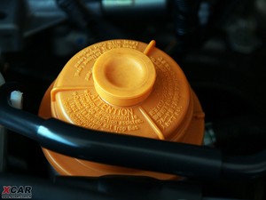 2009����S���� ����