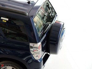 2009����S���� �������^