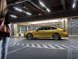 2019������� ���w���^