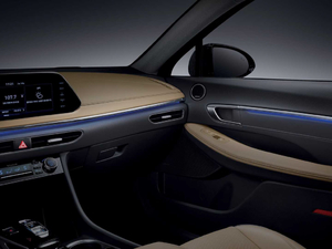 2019������� ���g����