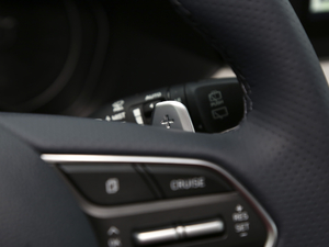 20213.5L GLS Ԅ п؅^