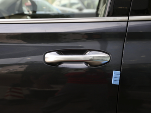 20213.5L GLS (q)Ԅ {T