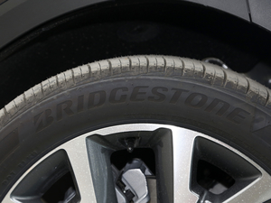 20213.5L GLS (q)Ԅ ݆̥Ʒ