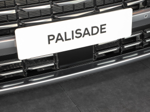 20233.5L Ԅ(q)Calligraphy (x)(ji)^