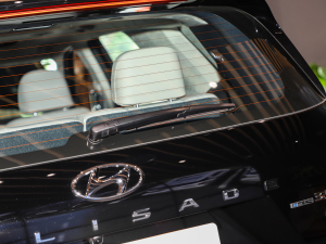 20233.5L Ԅ(q)Calligraphy (x)(ji)^