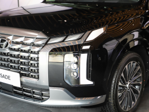 20233.5L Ԅ(q)Calligraphy (x)(ji)^