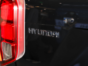 20233.5L Ԅ(q)Calligraphy (x)(ji)^