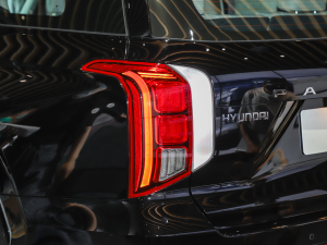 20233.5L Ԅ(q)Calligraphy (x)(ji)^