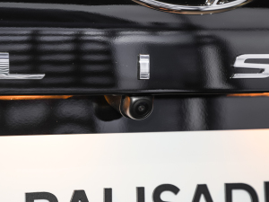 20233.5L Ԅ(q)Calligraphy (x)(ji)^