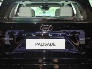 20233.5L Ԅ(q)Calligraphy (x)(ji)^