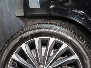 20233.5L Ԅ(dng)(q)Calligraphy (x)(ji)^