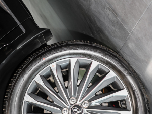 20233.5L Ԅ(dng)(q)Calligraphy (x)(ji)^