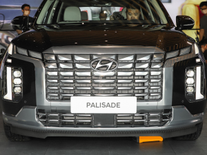 20233.5L Ԅ(dng)(q)Calligraphy (x)(ji)^