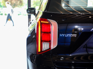 20233.5L Ԅ(dng)(q)Calligraphy (x)(ji)^