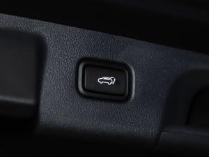 20233.5L Ԅ(dng)(q)Calligraphy g