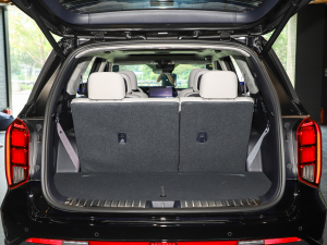 20233.5L Ԅ(dng)(q)Calligraphy g