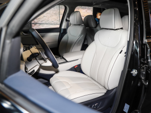 20233.5L Ԅ(dng)(q)Calligraphy g