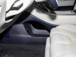 20233.5L Ԅ(dng)(q)Calligraphy g