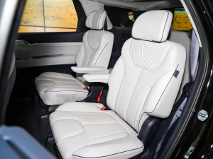 20233.5L Ԅ(dng)(q)Calligraphy g