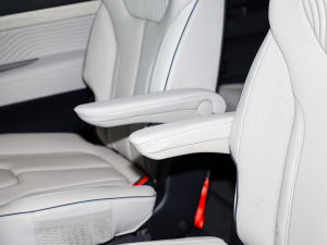 20233.5L Ԅ(dng)(q)Calligraphy g