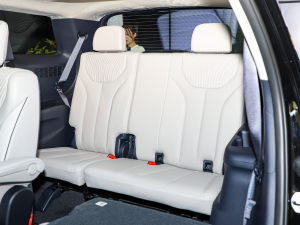 20233.5L Ԅ(dng)(q)Calligraphy g