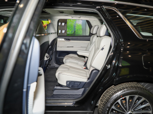 20233.5L Ԅ(dng)(q)Calligraphy g