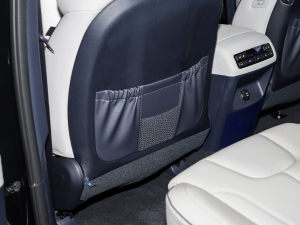 20233.5L Ԅ(dng)(q)Calligraphy g