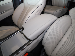 20233.5L Ԅ(dng)(q)Calligraphy g