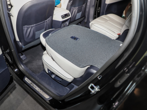 20233.5L Ԅ(dng)(q)Calligraphy g