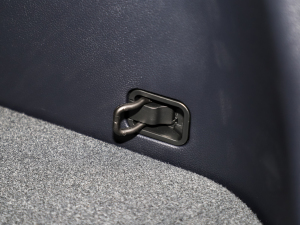 20233.5L Ԅ(dng)(q)Calligraphy g