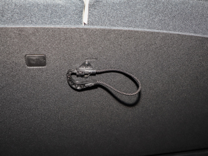 20233.5L Ԅ(dng)(q)Calligraphy g