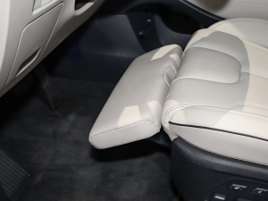 20233.5L Ԅ(dng)(q)Calligraphy g