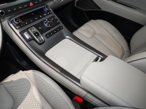 20233.5L ԄCalligraphy g