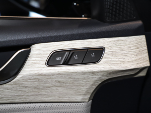 20233.5L ԄCalligraphy g