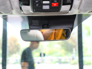 20233.5L ԄCalligraphy п؅^