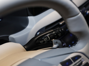 20233.5L ԄCalligraphy п؅^