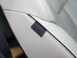 20233.5L ԄCalligraphy п؅^