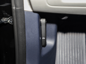 20233.5L ԄCalligraphy п؅^