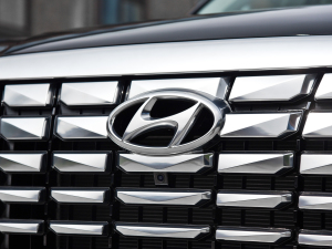 20233.5L Ԅ(q)Calligraphy (x)(ji)^