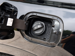 20233.5L Ԅ(q)Calligraphy (x)(ji)^