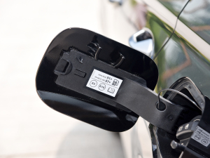 20233.5L Ԅ(q)Calligraphy (x)(ji)^