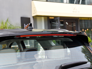 20233.5L Ԅ(q)Calligraphy (x)(ji)^