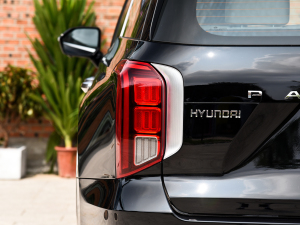 20233.5L Ԅ(q)Calligraphy (x)(ji)^